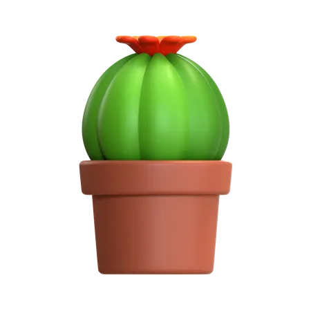 Mini Cactus Plant  3D Icon