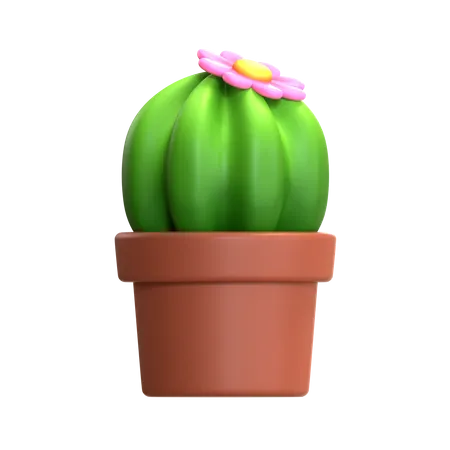 Mini Cactus Plant  3D Icon