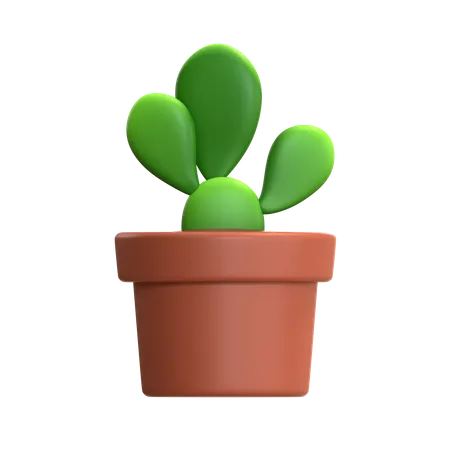 3 D Illustration Of Mini Cactus Plant 3D Icon