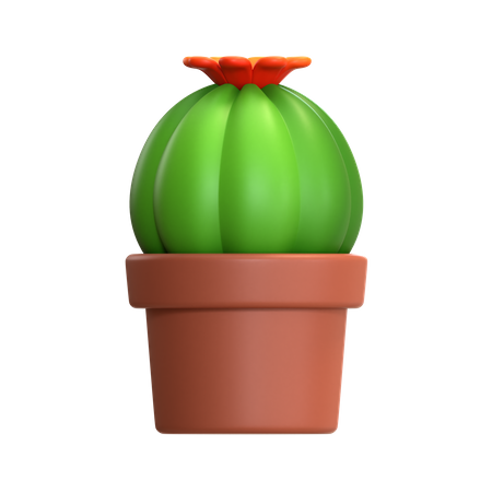 Mini Cactus Plant  3D Icon