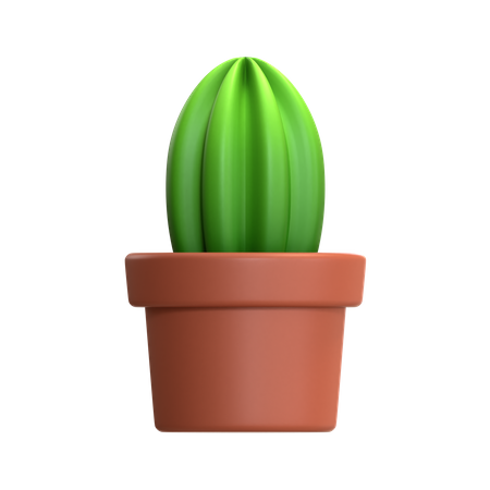 Mini plante de cactus  3D Icon