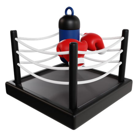 Miniature Boxing Ring Display  3D Icon