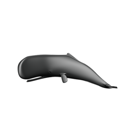 Minke Whale  3D Icon