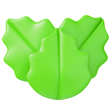 Mint  3D Icon