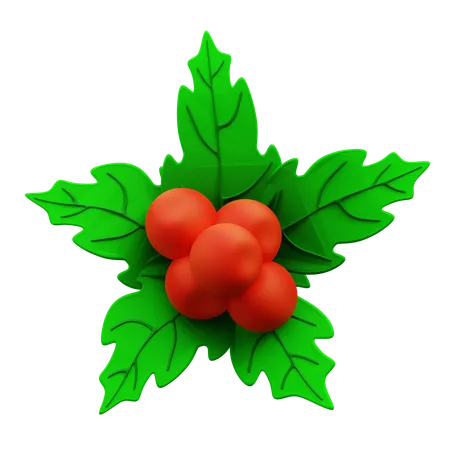 3 D Illustration Five Leaf Christmas Holly 3D Icon