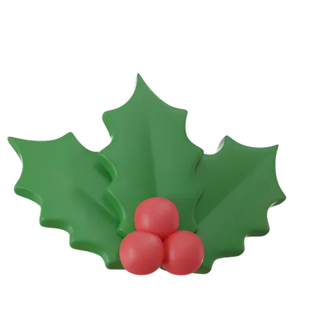 Mistletoe  3D Icon