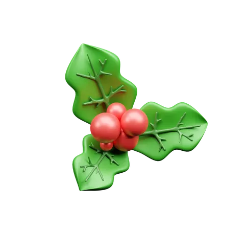 Mistletoe  3D Icon