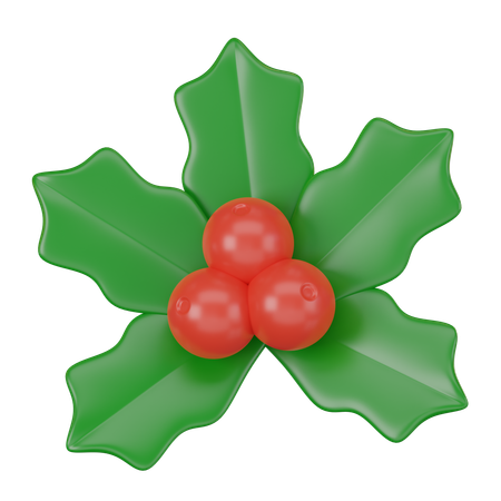 Mistletoe  3D Icon