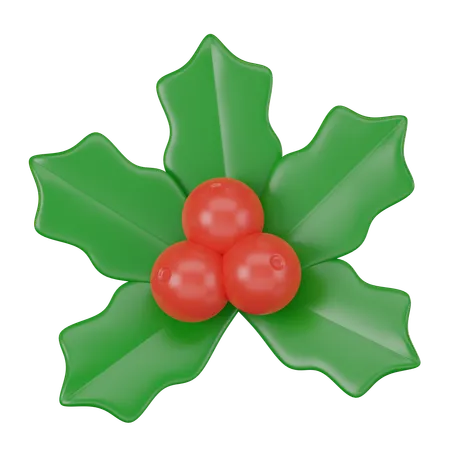 Mistletoe  3D Icon