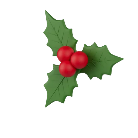 Mistletoe  3D Icon