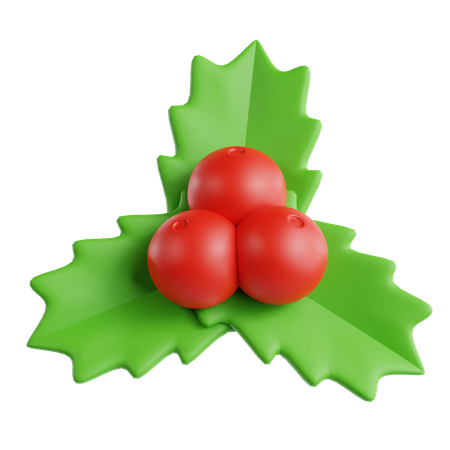 Mistletoe  3D Icon