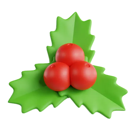 Mistletoe  3D Icon