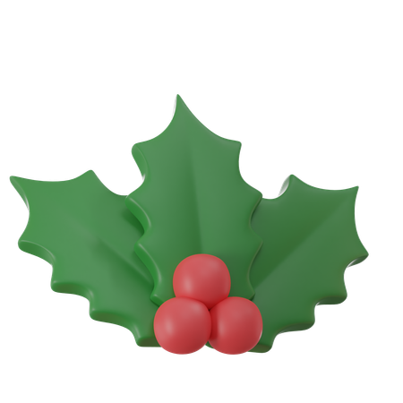 Mistletoe  3D Icon