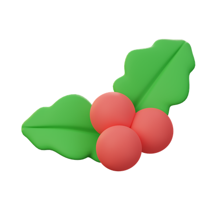 Mistletoe  3D Icon