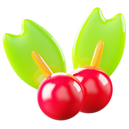 Mistletoe  3D Icon