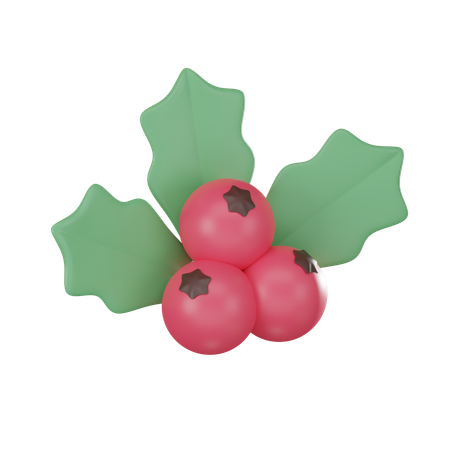 Mistletoe  3D Icon