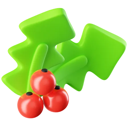 Mistletoe  3D Icon