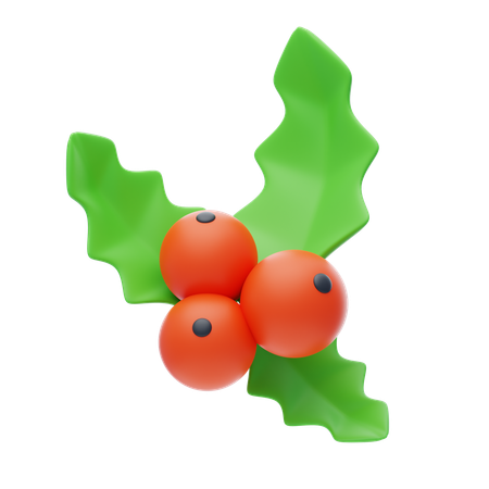 Mistletoe  3D Icon