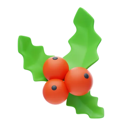 Mistletoe  3D Icon