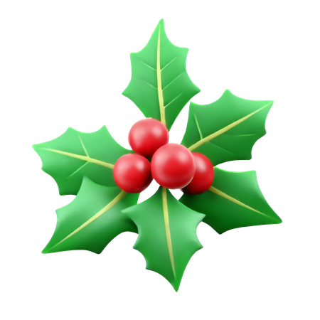 Mistletoe  3D Icon