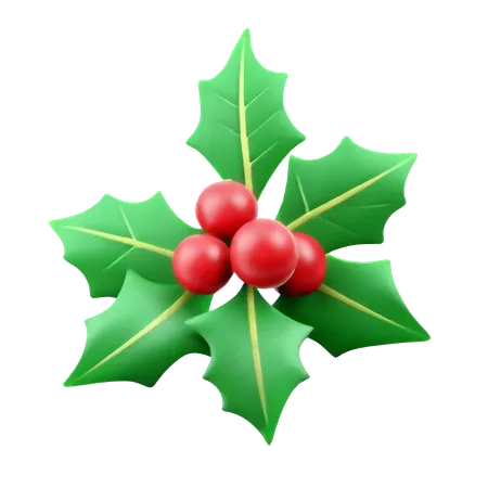 Mistletoe  3D Icon