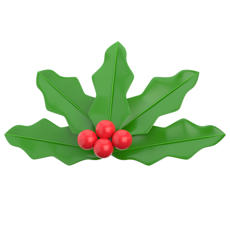 Mistletoe  3D Icon