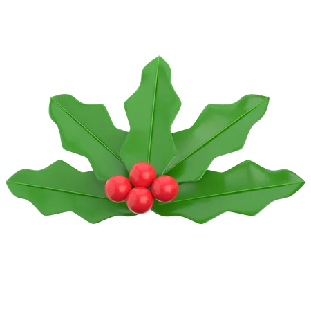 Mistletoe  3D Icon