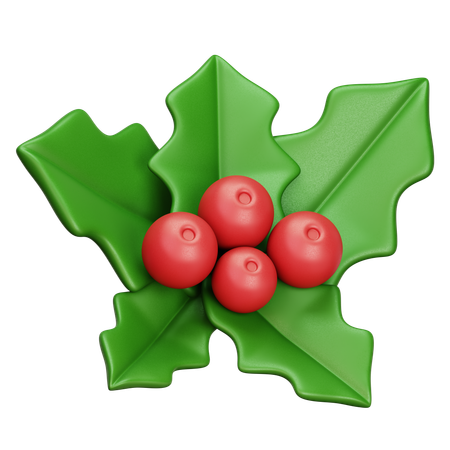 Mistletoe  3D Icon