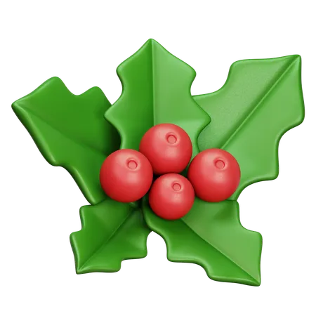 Mistletoe  3D Icon