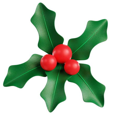 Mistletoe  3D Icon