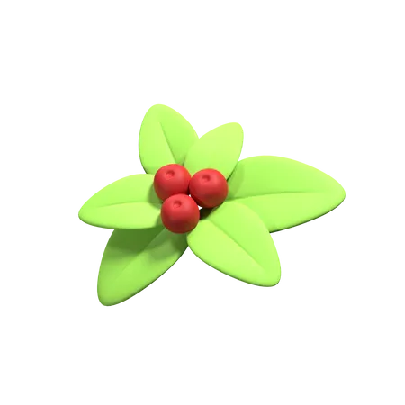 Mistletoe  3D Icon