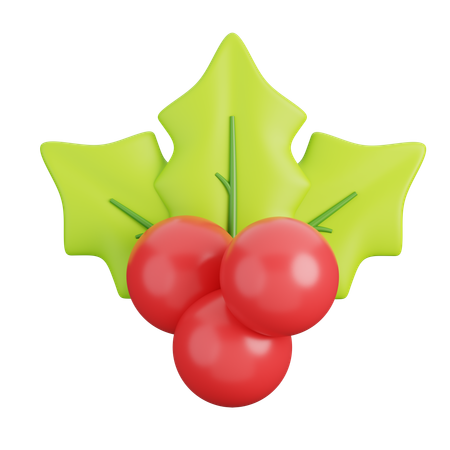 Mistletoe  3D Icon