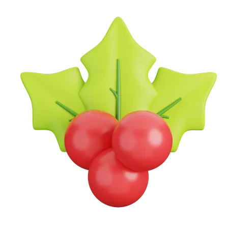 Mistletoe  3D Icon