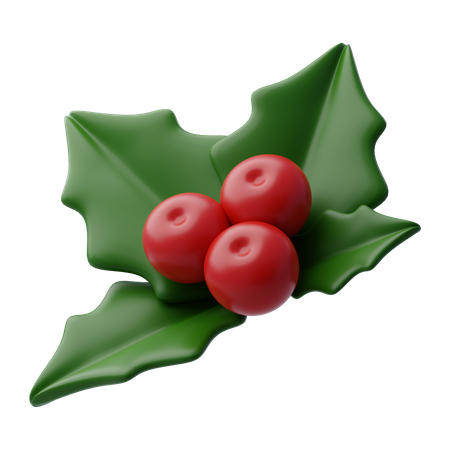 Mistletoe  3D Icon