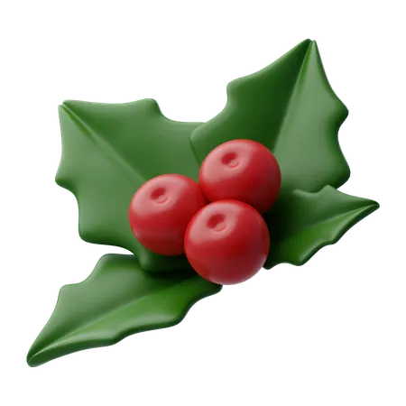 Mistletoe  3D Icon