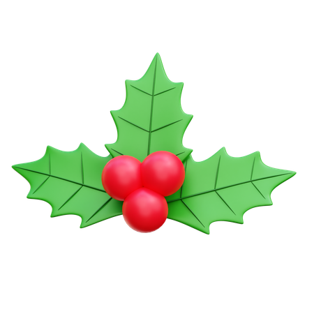 Mistletoe  3D Icon