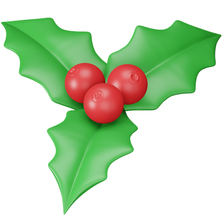 Mistletoe  3D Icon