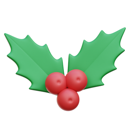 Mistletoe  3D Icon