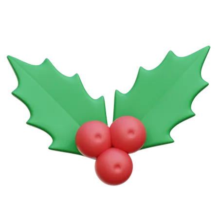 Mistletoe  3D Icon