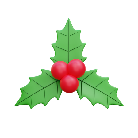 Mistletoe  3D Icon