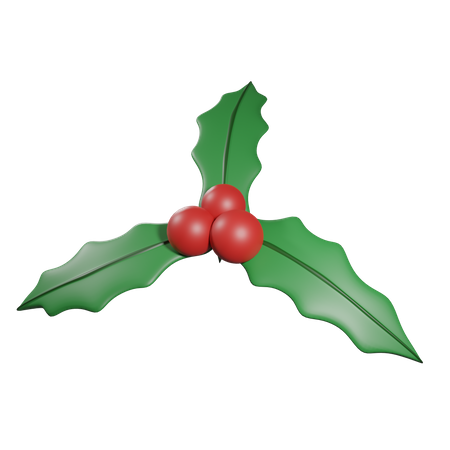 Mistletoe  3D Icon