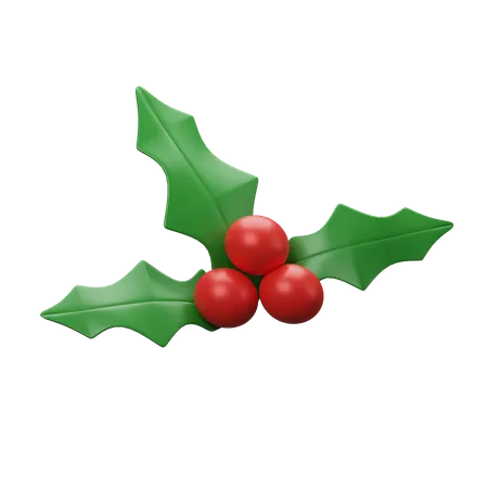 Mistletoe  3D Icon