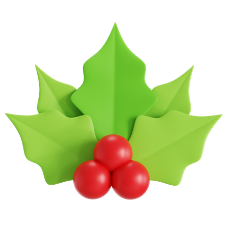 Mistletoe  3D Icon