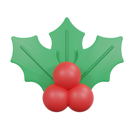 Mistletoe  3D Icon