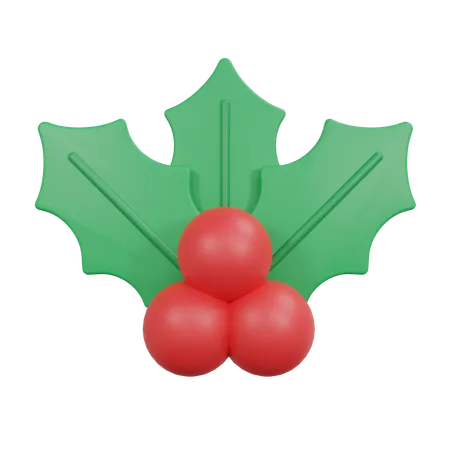 Mistletoe  3D Icon