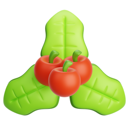 Mistletoe  3D Icon