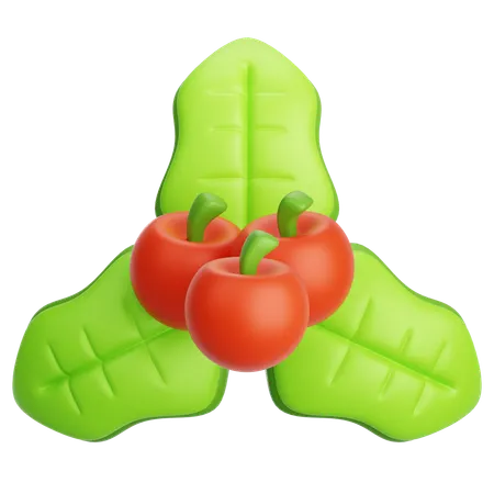 Mistletoe  3D Icon