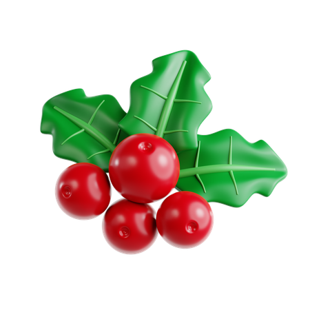 Mistletoe  3D Icon