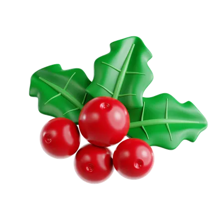 Mistletoe  3D Icon