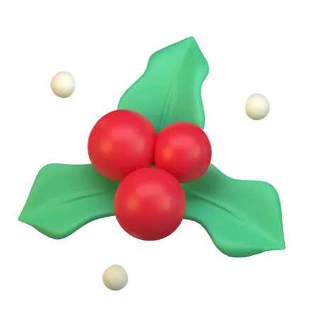 Mistletoe  3D Icon